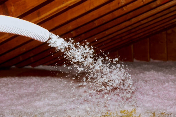 Best Geographic-Specific Insulation Services in Bardmoor, FL