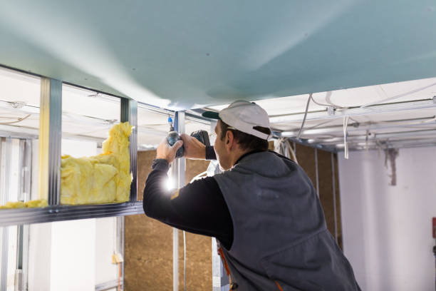 Best DIY Insulation Kits and Guidance in Bardmoor, FL