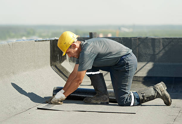 Best Insulation for Specific Applications in Bardmoor, FL