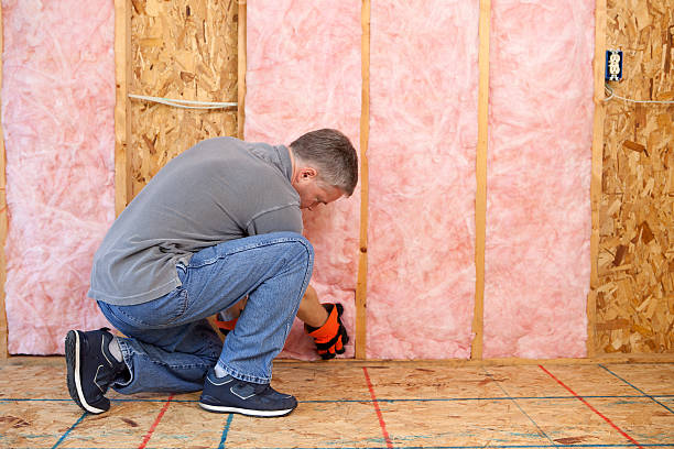 Types of Insulation We Offer in Bardmoor, FL