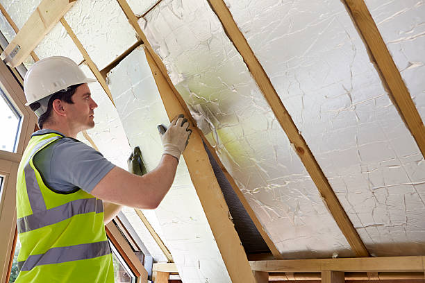 Types of Insulation We Offer in Bardmoor, FL